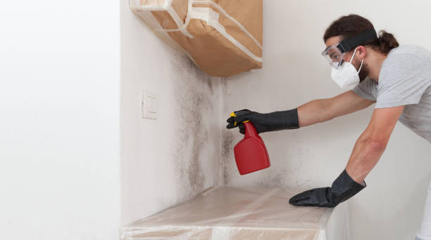 Professional Bathroom Mold Removal technician working in Celina, TN